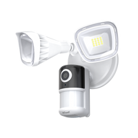 ieGeek Telecamera con Faro ZY-E2