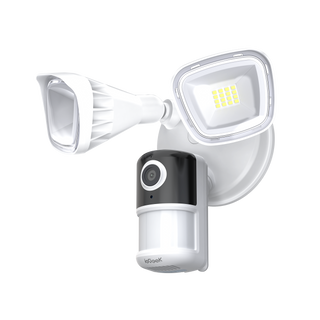 ieGeek Telecamera con Faro ZY-E2